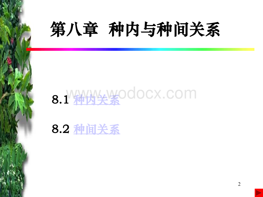 生态学-种内与种间关系.ppt_第2页