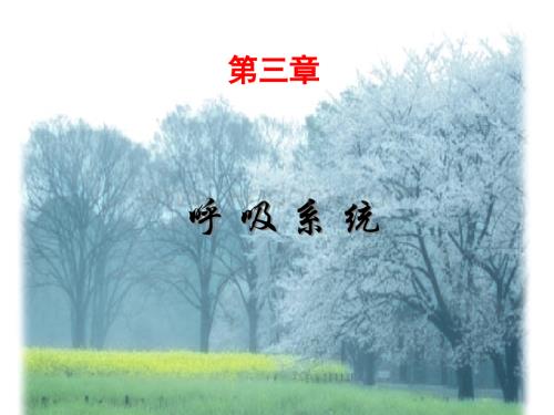 呼吸系统.ppt
