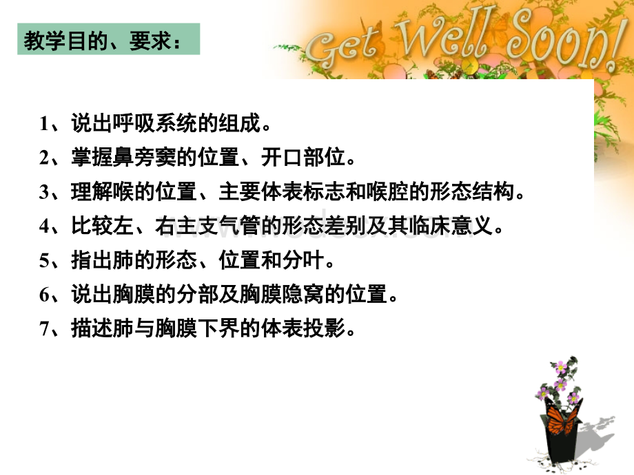 呼吸系统.ppt_第2页