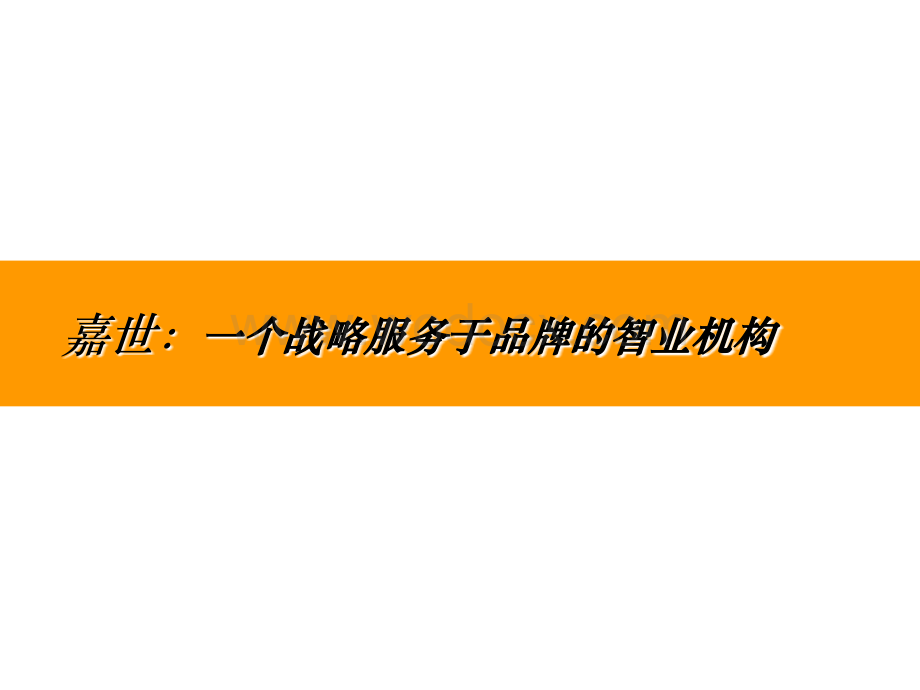 真心瓜子品牌推广营销执行策略.ppt_第3页