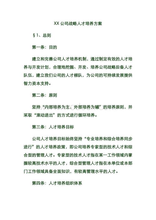 XX公司战略人才培养方案.doc