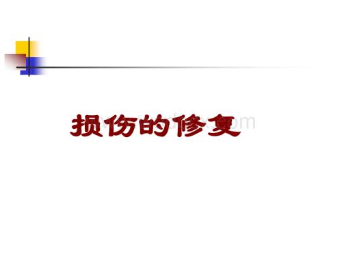 损伤的修复第二章 修复.ppt
