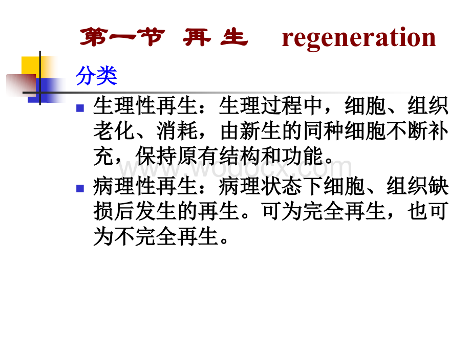 损伤的修复第二章 修复.ppt_第3页