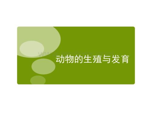 动物的生殖与发育.ppt