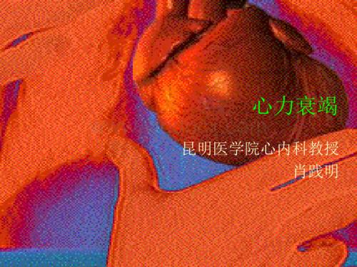 心力衰竭.ppt