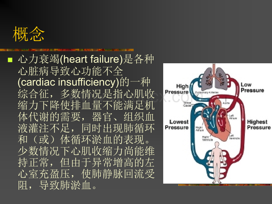 心力衰竭.ppt_第3页