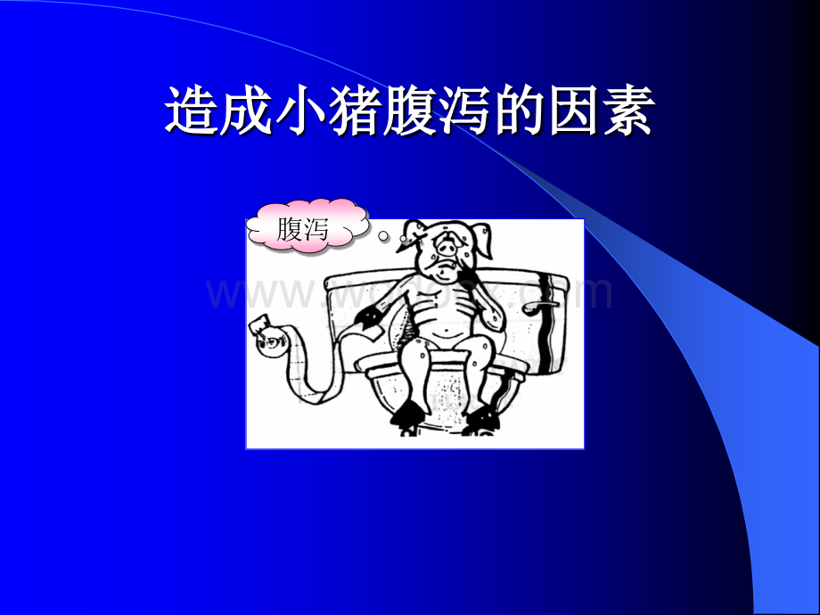 造成小猪腹泻因素.ppt_第1页