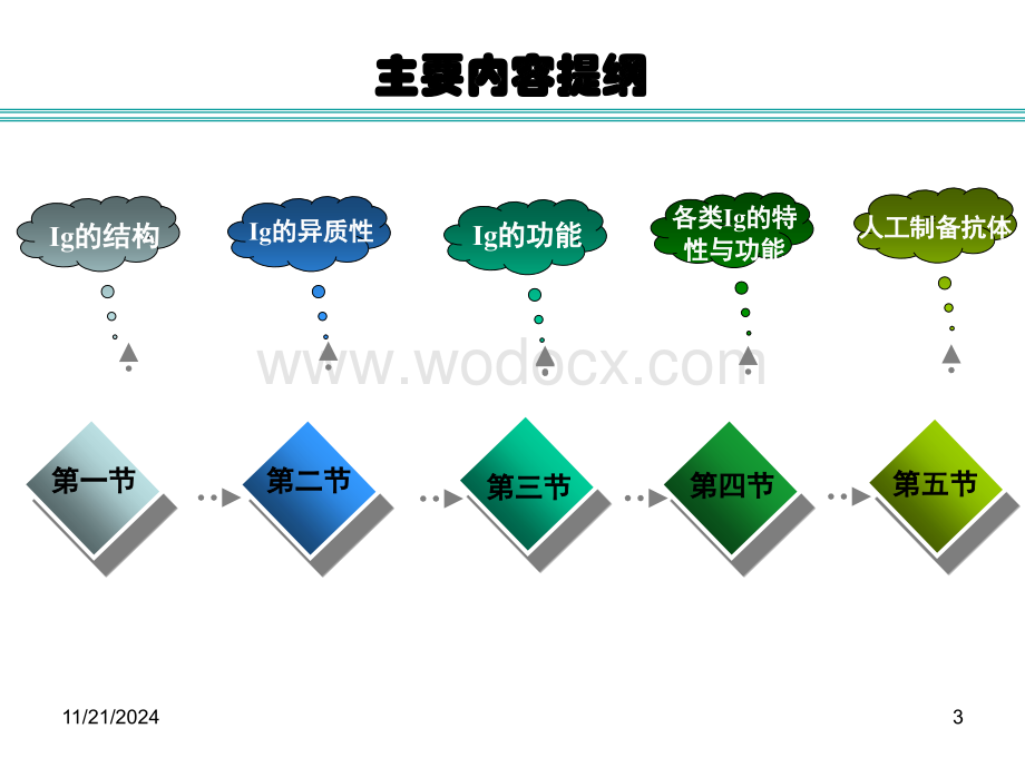 4免疫球蛋白.ppt_第3页