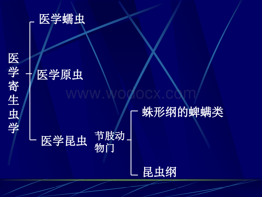 寄生虫的教学课件.ppt_第1页