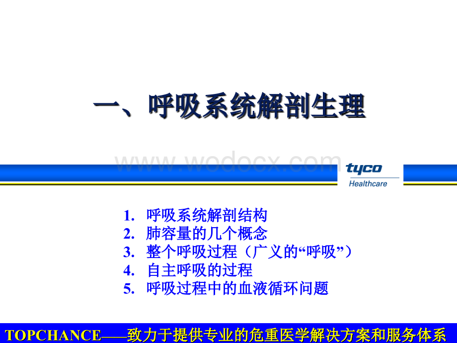 呼吸生理和呼吸模式.ppt_第2页