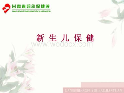 09-新生儿保健家庭方式.ppt