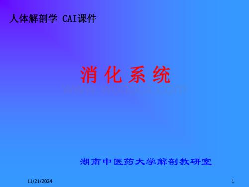 04消化系统.ppt