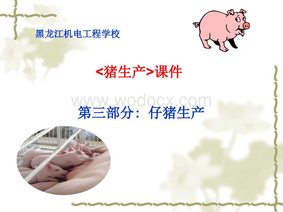 猪生产课件.ppt_第1页