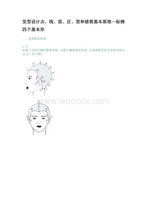 发型设计点、线、面、区、型和修剪基本原理--标榜四个基本形.doc