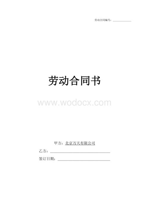 北京X公司劳动合同完整全面.doc