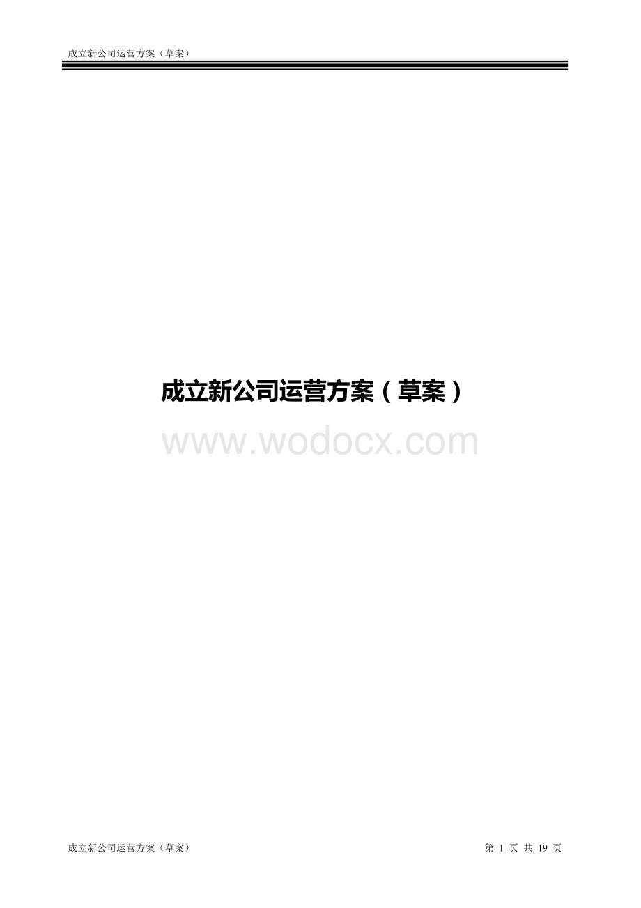 成立新公司运营方案(草案).doc_第1页