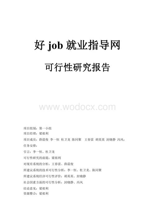 某某就业网站可行性分析报告.doc