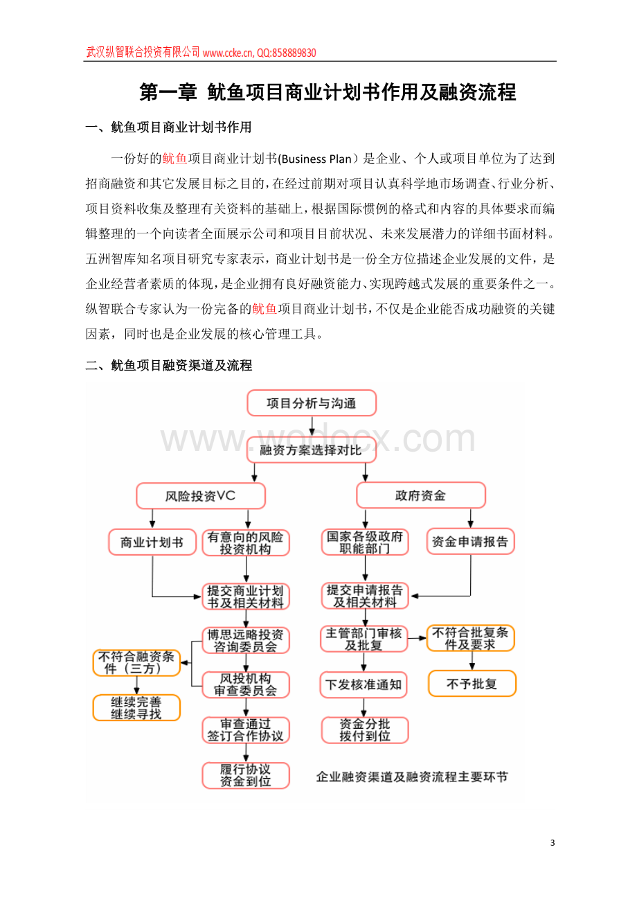 鱿鱼商业计划书2014年.doc_第3页