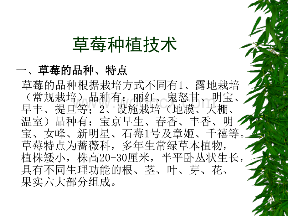 大棚草莓种植技术.ppt_第1页