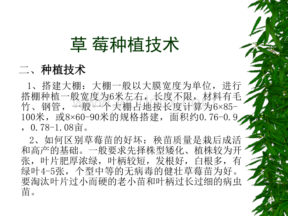 大棚草莓种植技术.ppt_第2页