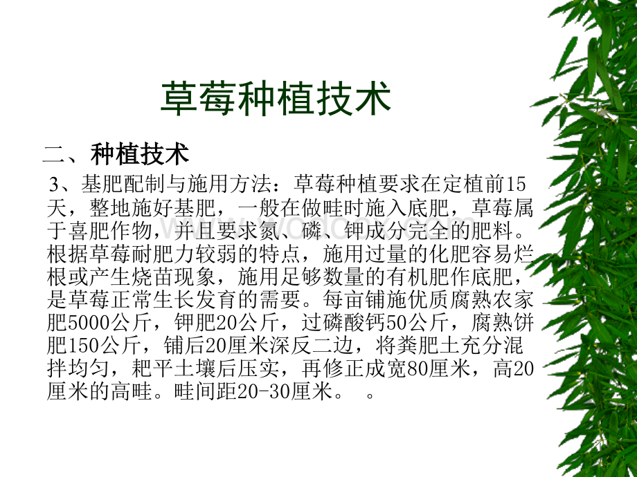 大棚草莓种植技术.ppt_第3页