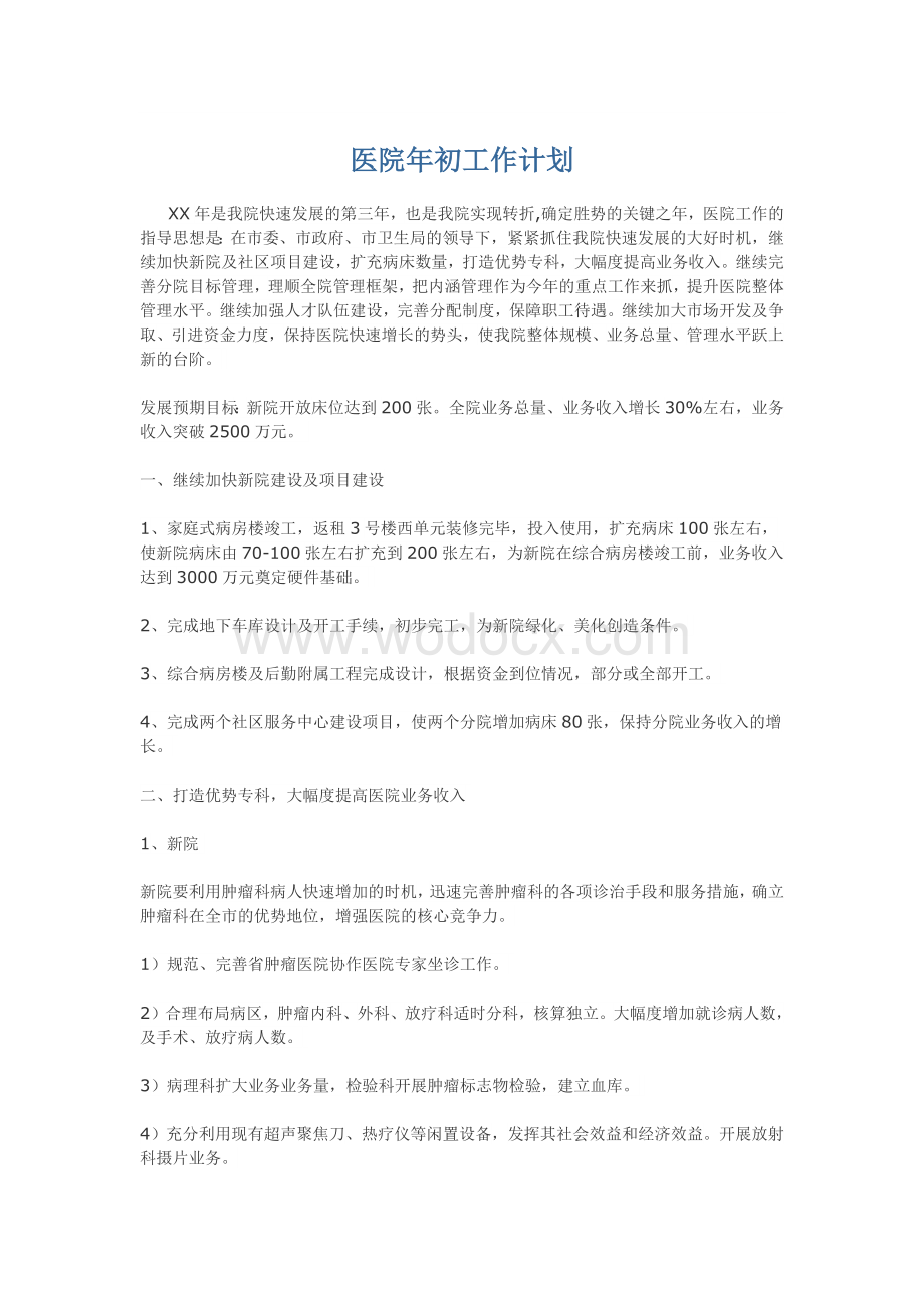 医院年初工作计划.docx_第1页