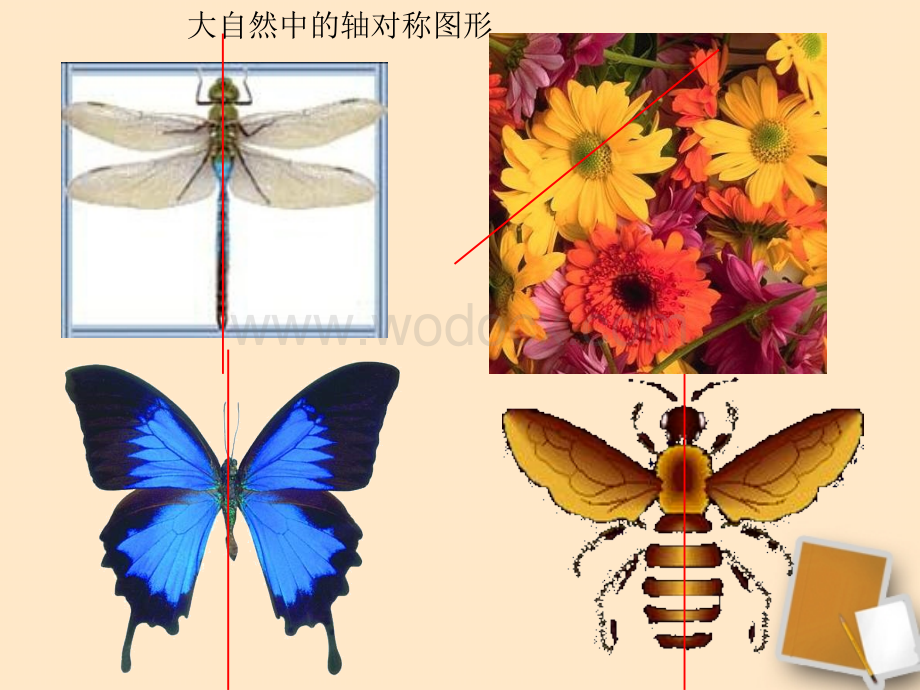 2.2 轴对称变换 (4)课件.ppt_第3页