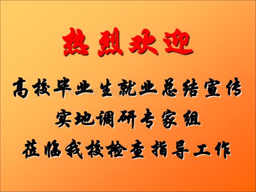 就业总结宣传工作检查汇报.ppt