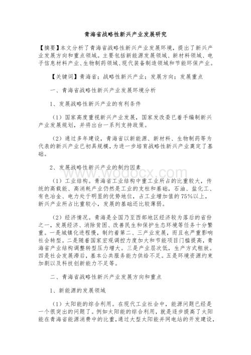 XX战略性新兴产业发展研究.doc