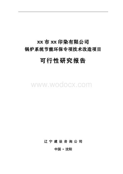 锅炉系统节能环保专项技术改造项目可行性研究报告.doc