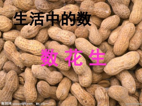 北师大一年级下册数花生课件.ppt