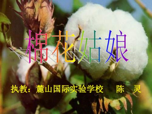 沪教版一年级下册《棉花姑娘》PPT 1【最新】.ppt