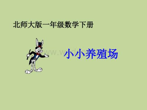 数学：小小养殖场 课件2（北师大版一年级下）.ppt