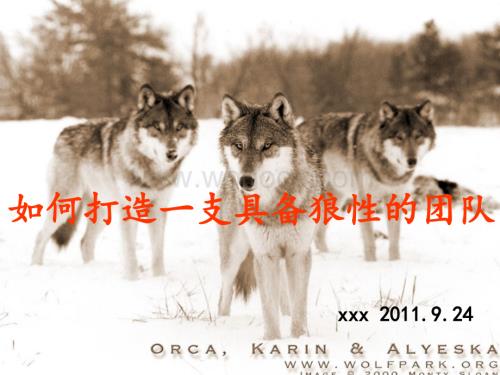 如何打造一个狼性团队.ppt