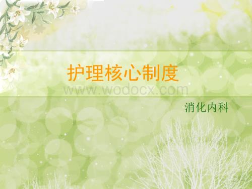 护理核心制度ppt.ppt