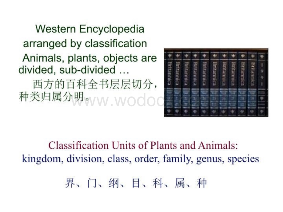 中西文化与思维的差异.ppt_第3页