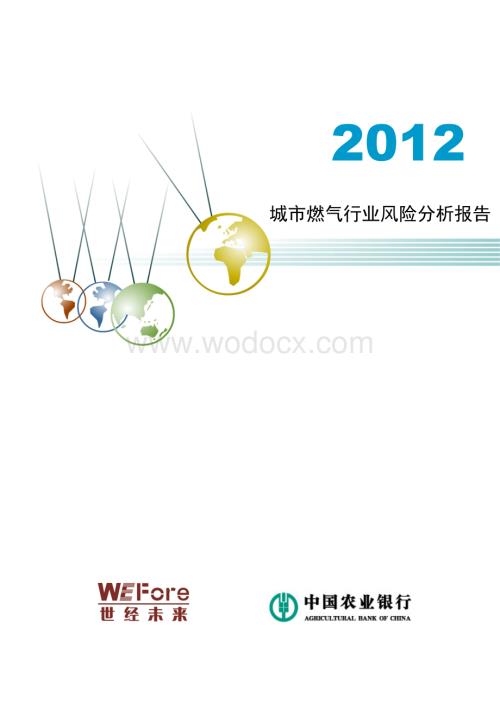 燃气行业市场分析报告-2012.doc