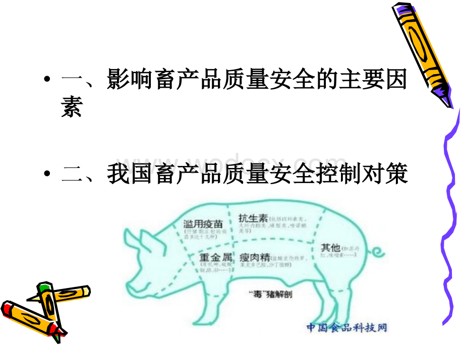 畜产品质量安全的控制方法.ppt_第2页