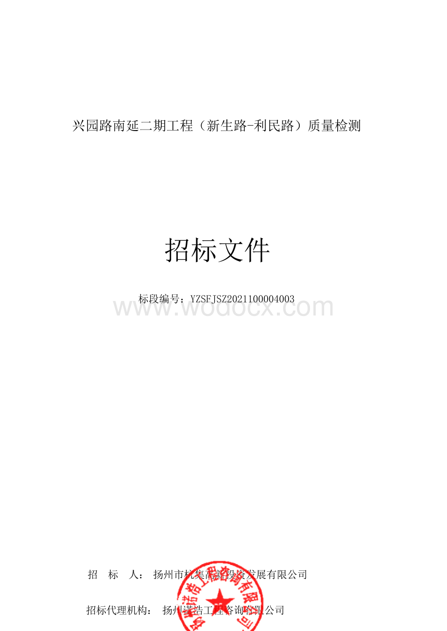 兴园路南延二期工程（新生路利民路）质量检测招标文件.docx_第1页