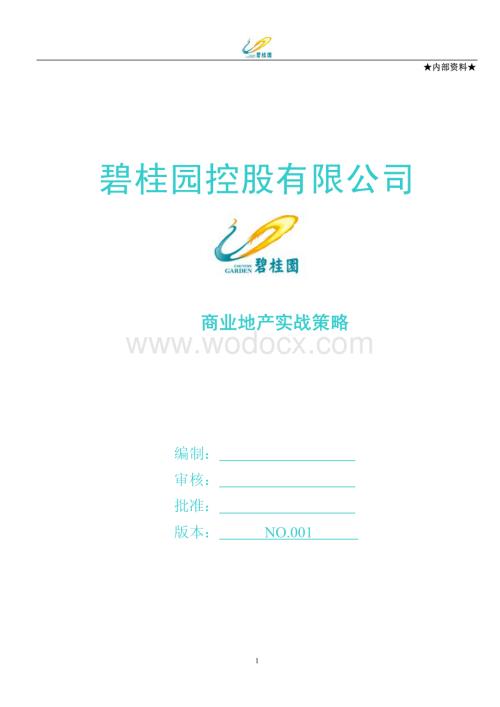 地产集团商业地产实战策略.pdf