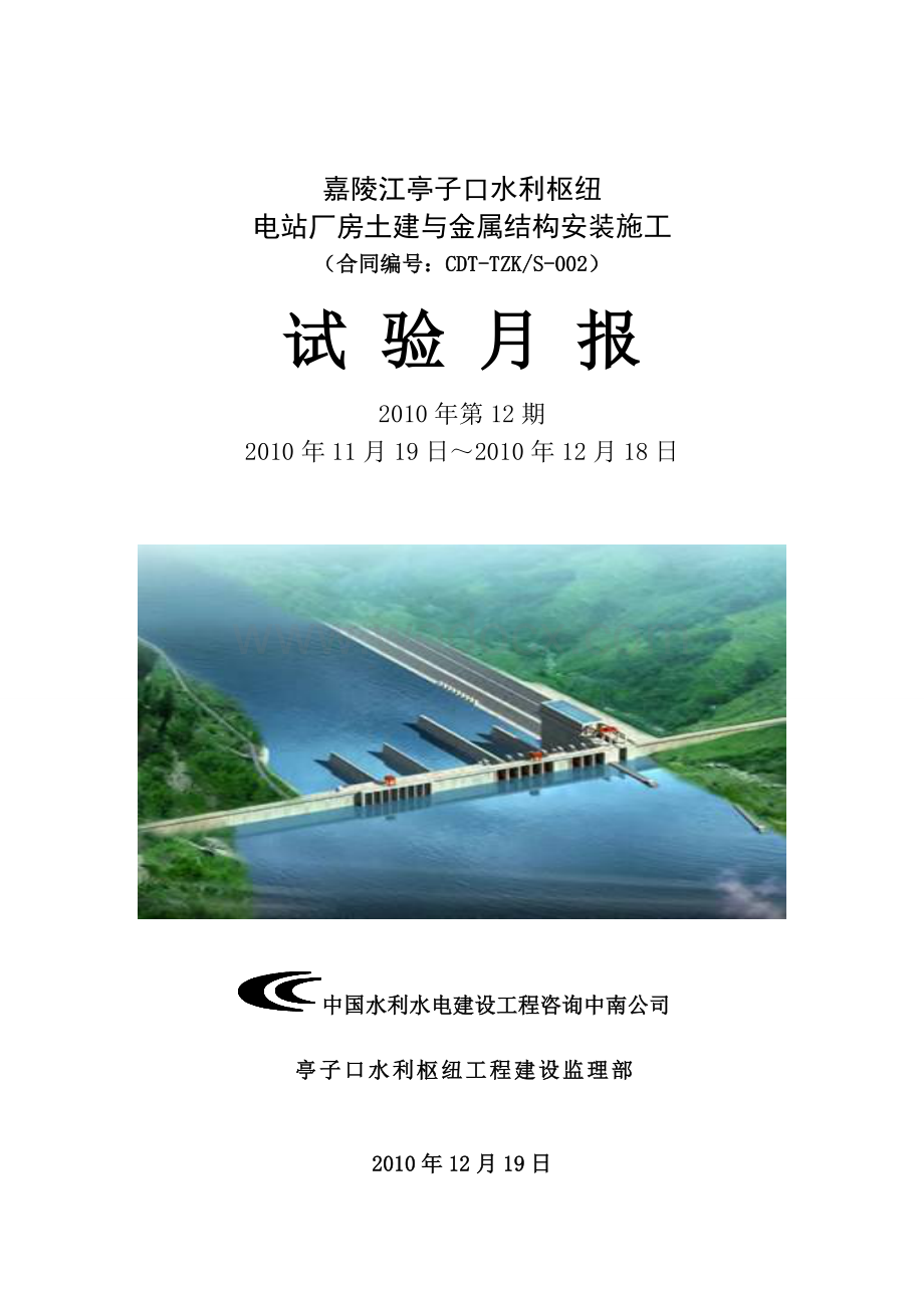 电站厂房土建与金属结构安装施工试验月报.doc_第1页