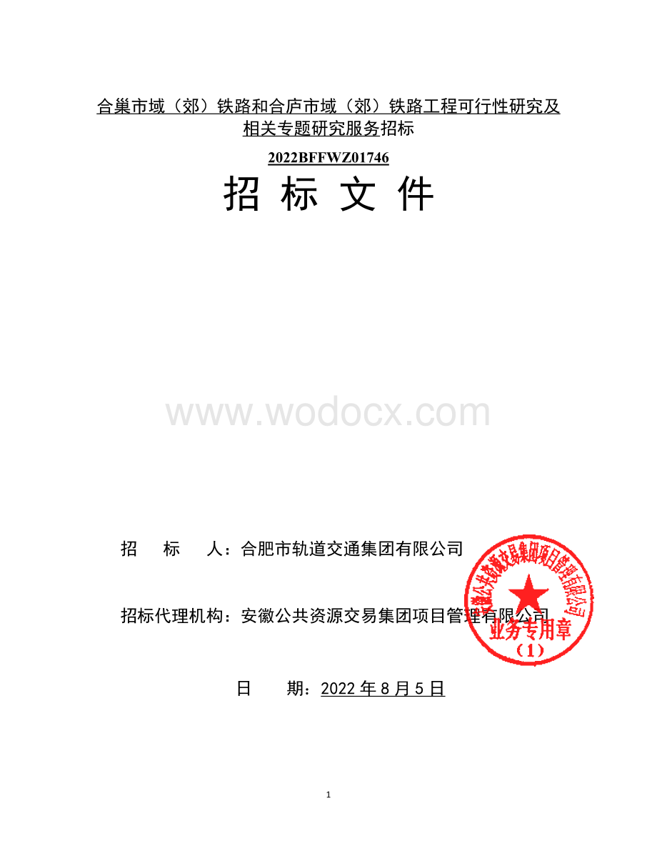 铁路工程可行性研究及专题研究服务招标文件.pdf_第1页