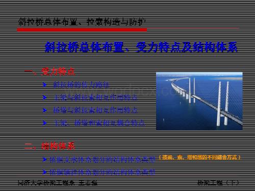 斜拉桥总体布置受力特点及结构体系.ppt
