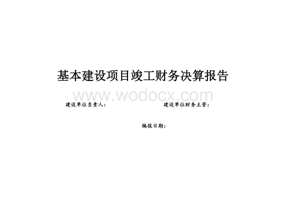 项目竣工财务决算报告.doc_第1页