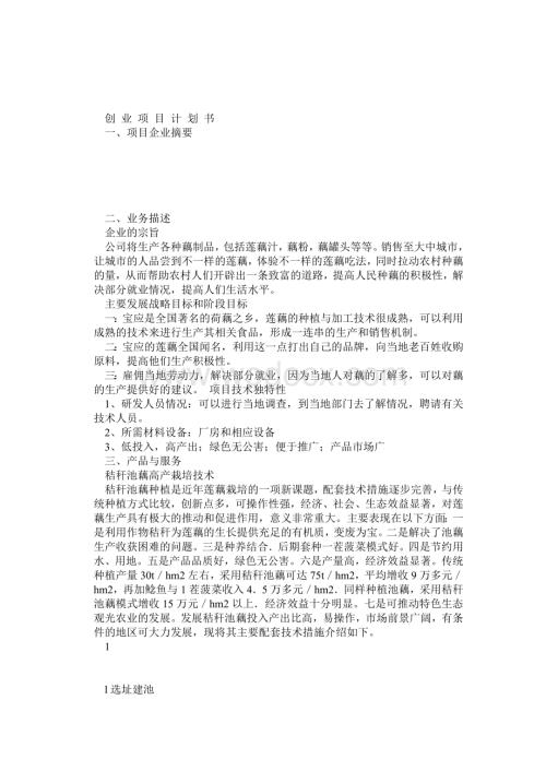 创业项目计划书范文样本.doc
