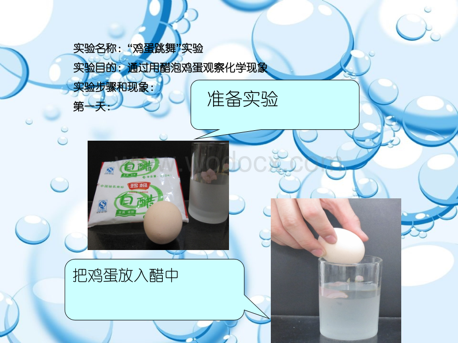 “鸡蛋跳舞”实验探究.ppt_第2页