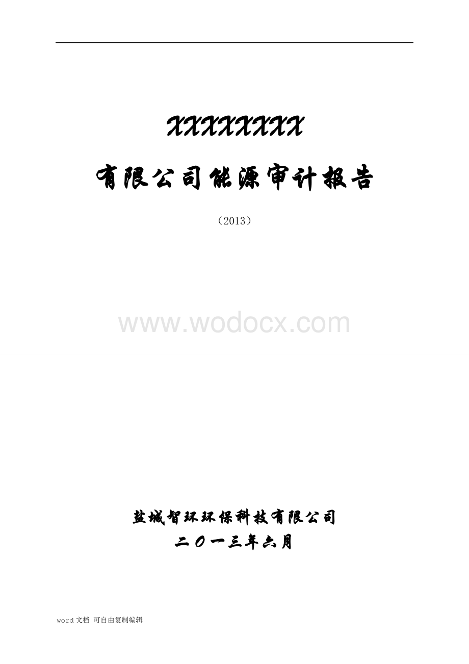 公司能源审计报告.doc_第1页