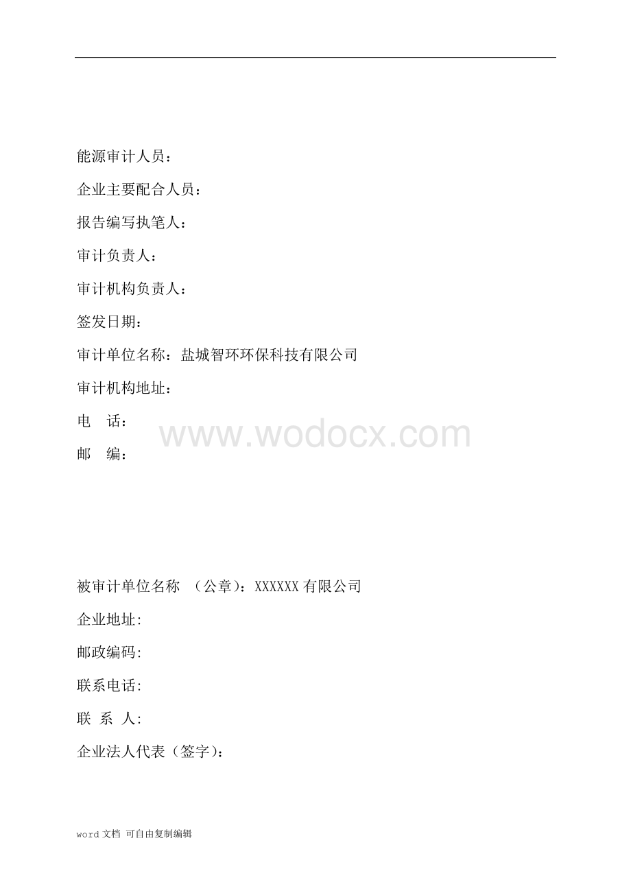 公司能源审计报告.doc_第2页