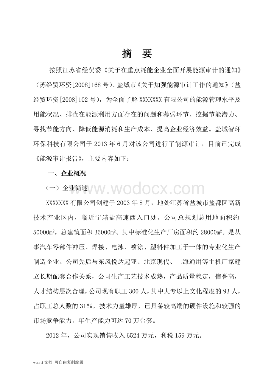 公司能源审计报告.doc_第3页