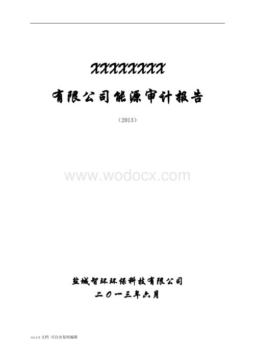 公司能源审计报告.doc